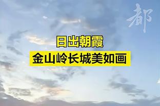 苏群：湖人频繁变阵对浓眉伤害最大 外线不准让对方防守越收越小